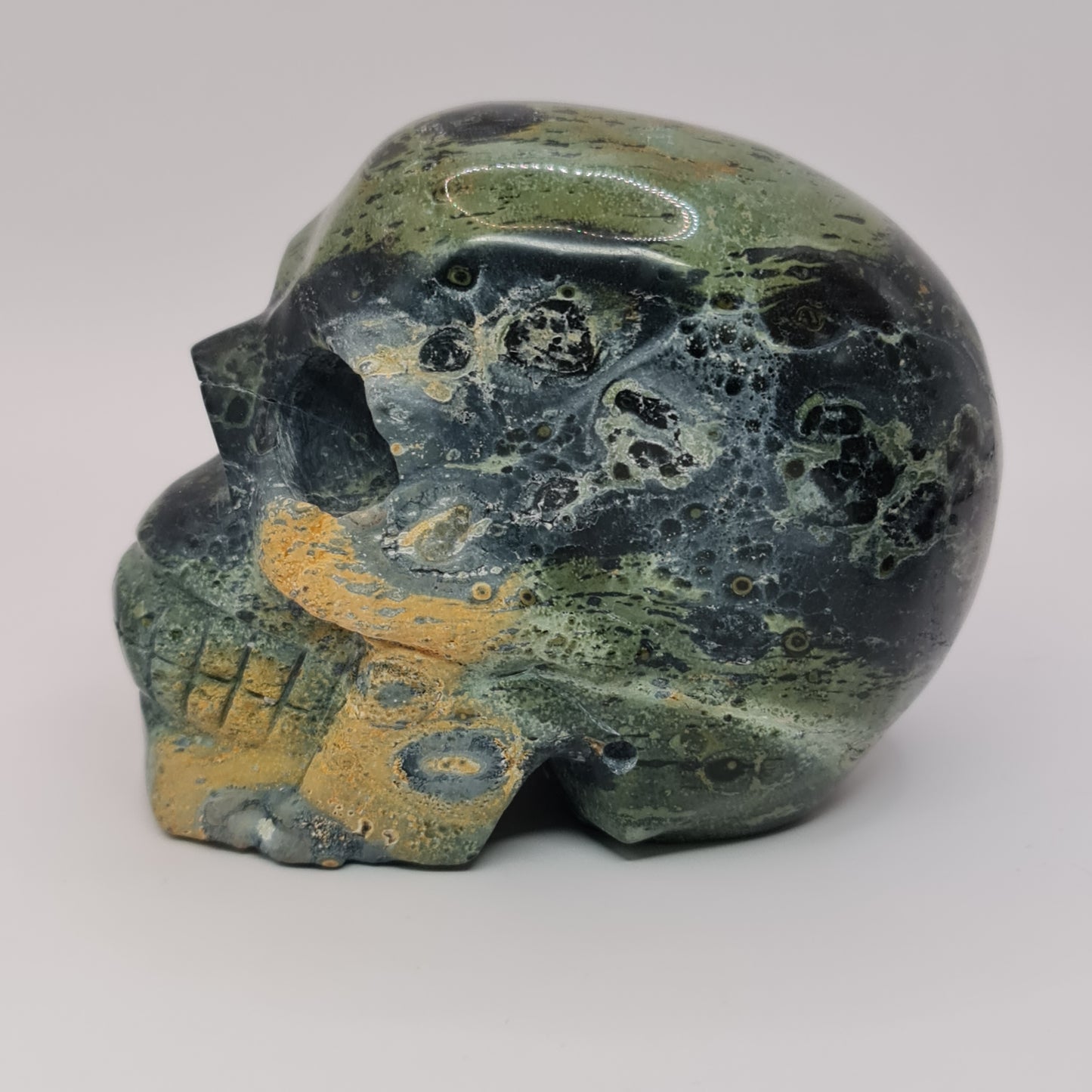 Kambaba Jasper Skull