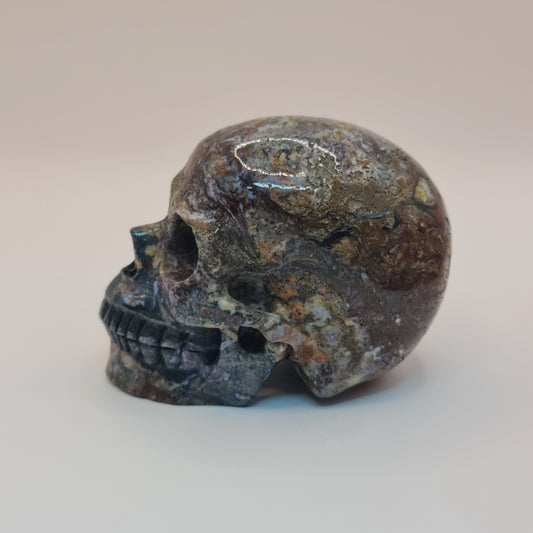 Pietersite Skull
