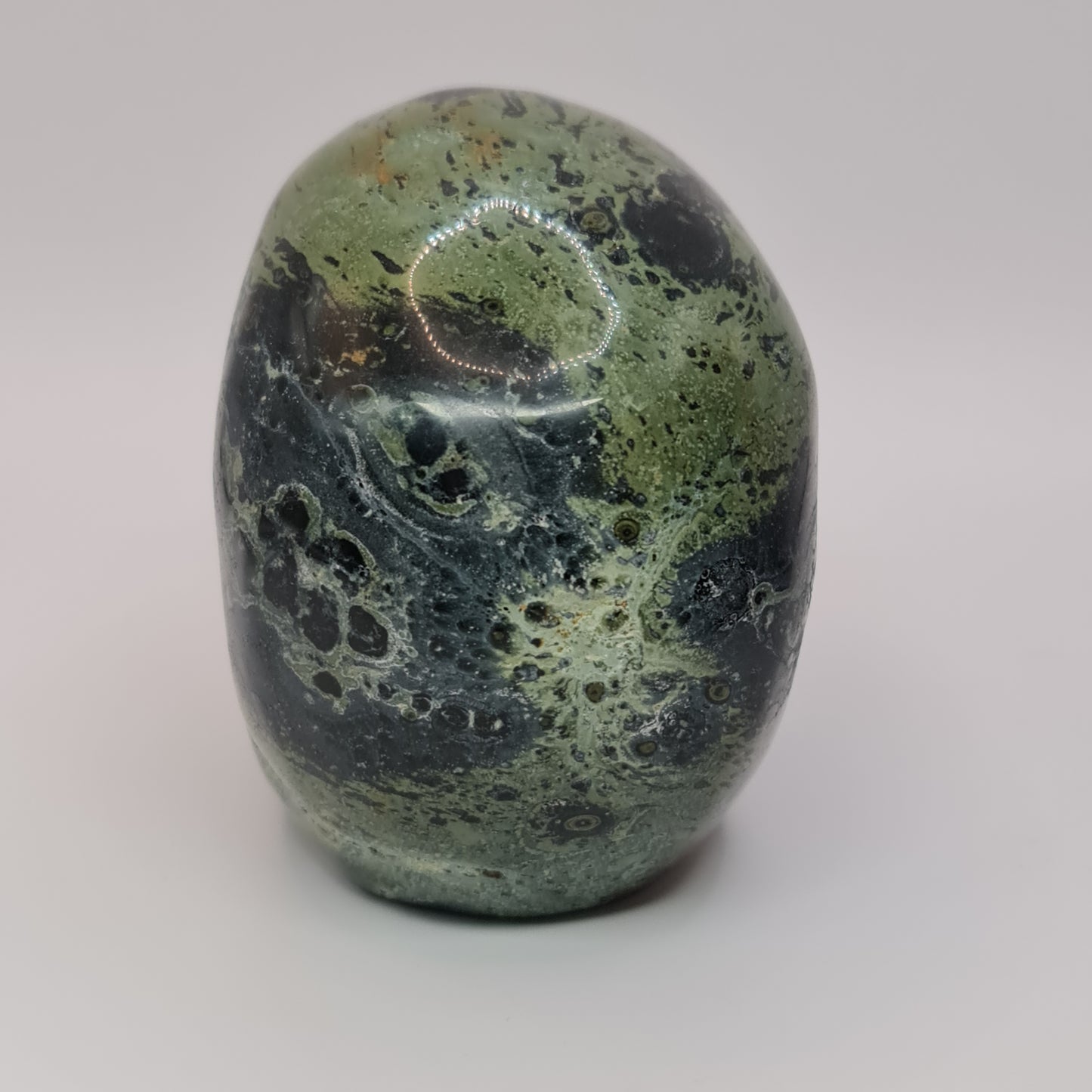 Kambaba Jasper Skull