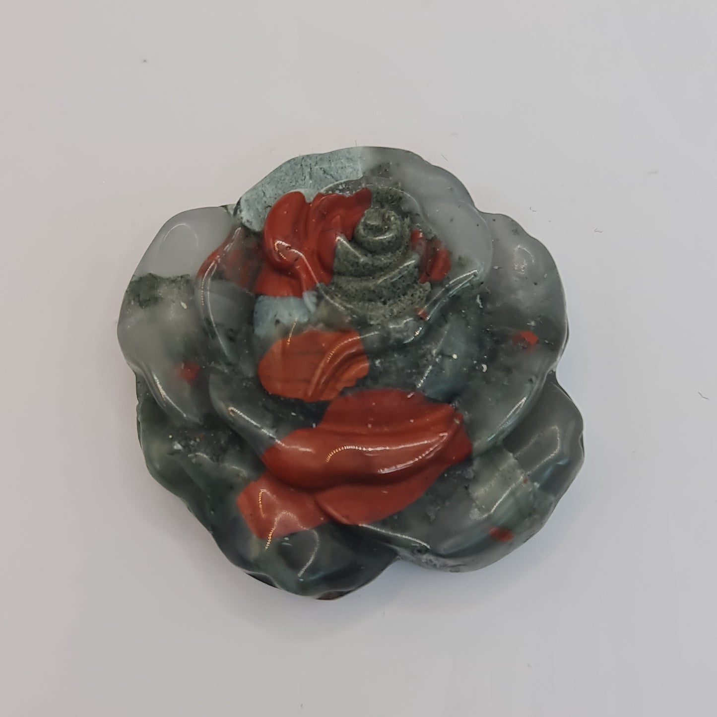 African Bloodstone Flower